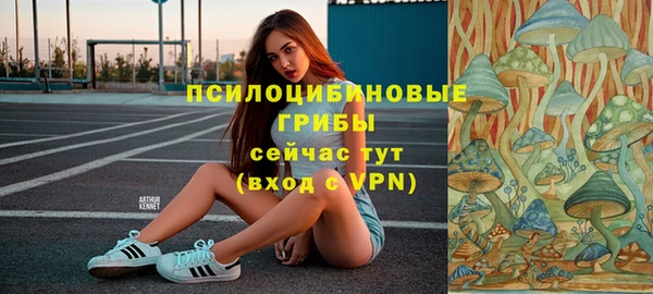 прущие крисы Ессентукская