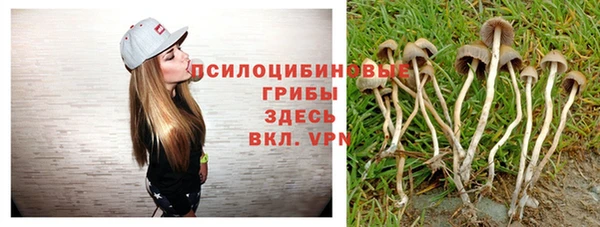 гашиш Ладушкин