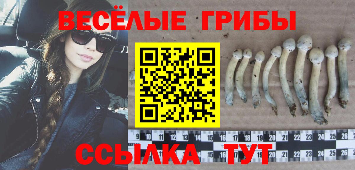 Химки  Галлюциногенные грибы Psilocybe  Вход с VPN 