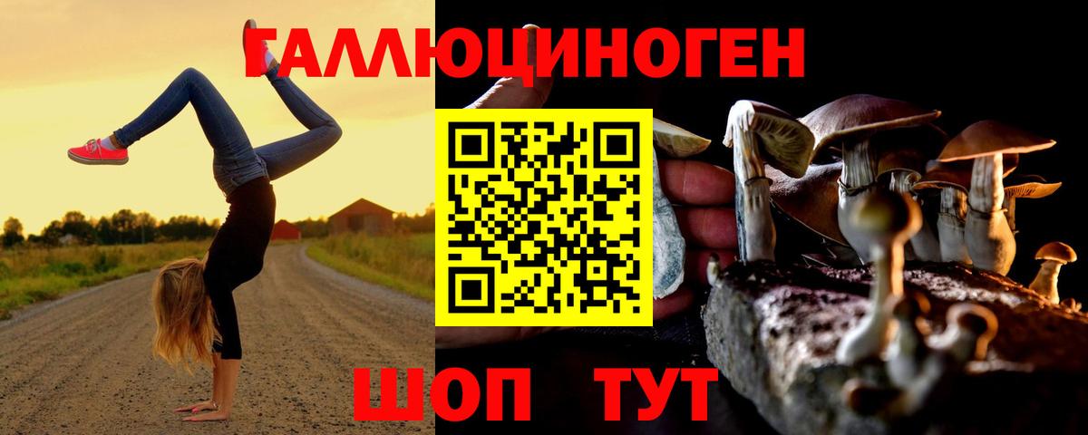 Галлюциногенные грибы Psilocybine cubensis Химки